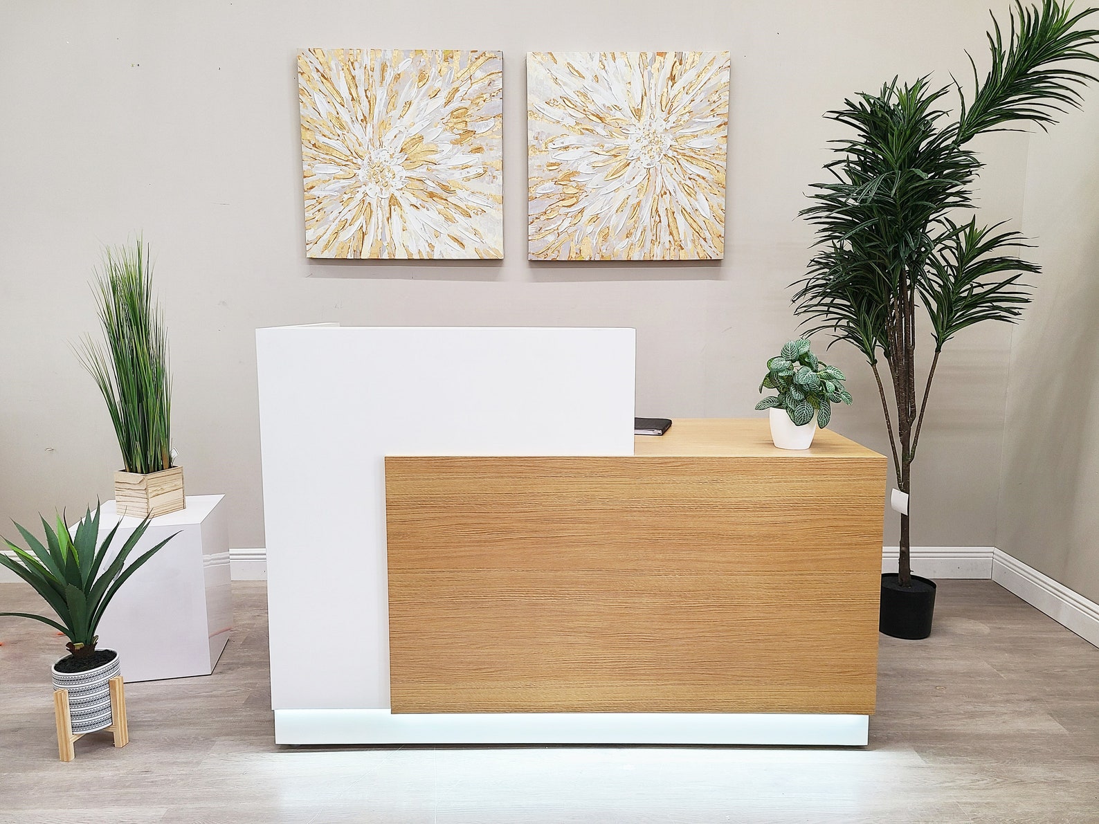 Jade Plus Reception desk (White + Finnish Oak) - Image 2