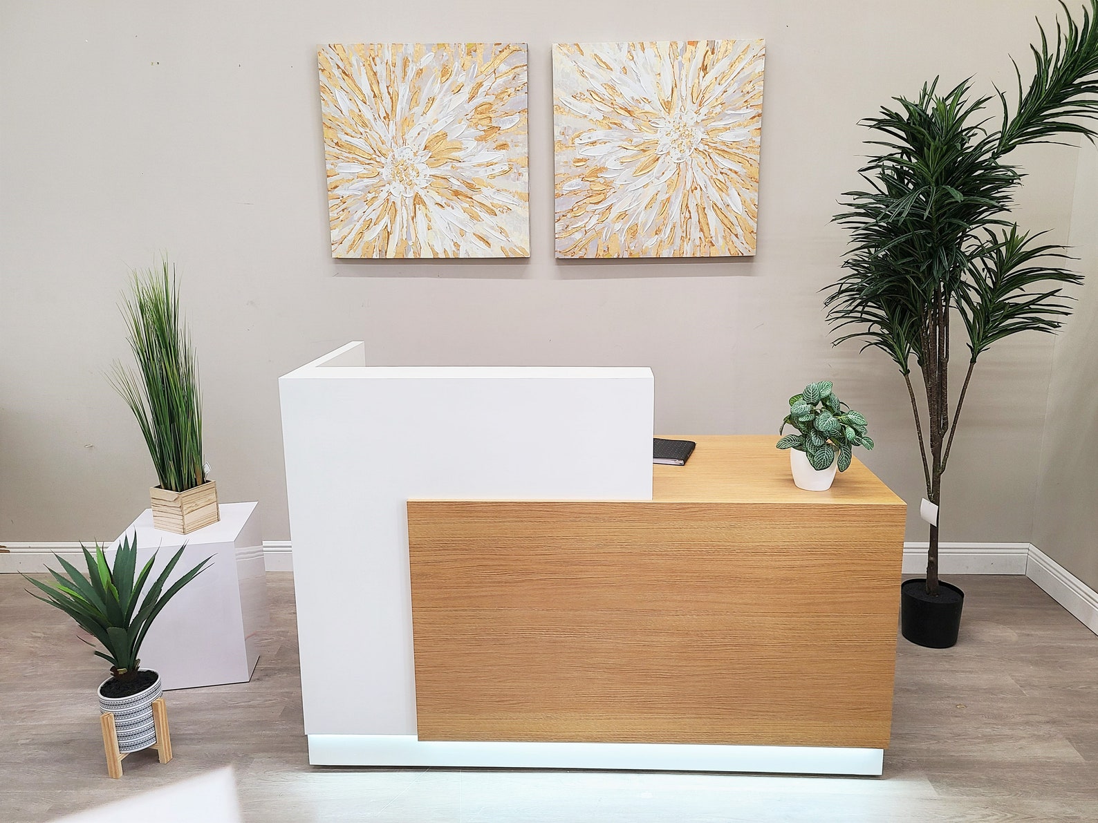 Jade Plus Reception desk (White + Finnish Oak)